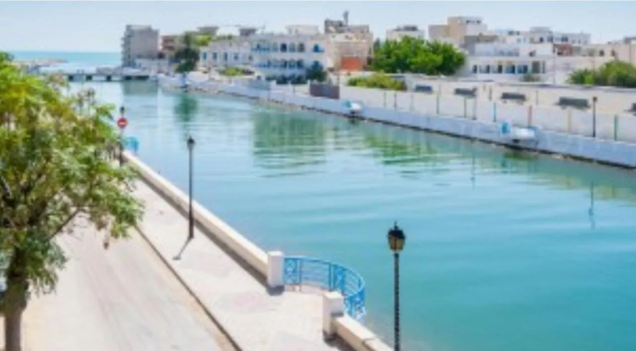 La Perle Bleue Apartment La Goulette
